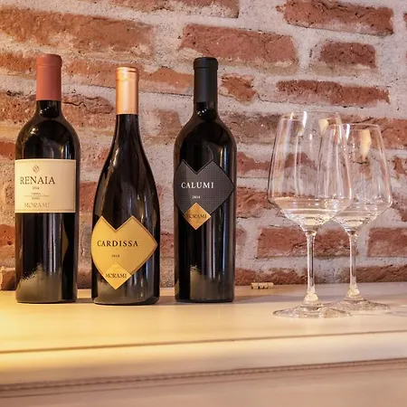 Farm stay Morami Wine *