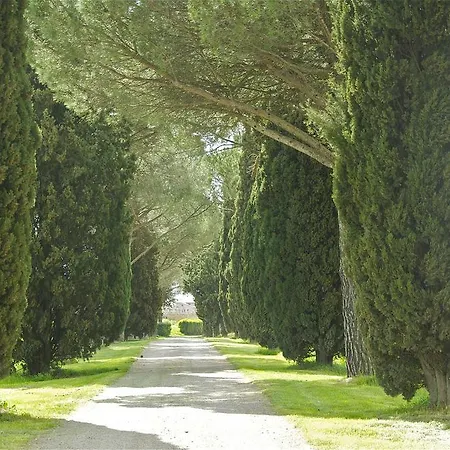 农家乐 Morami Wine