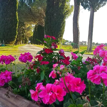 ファームステイ Morami Wine *