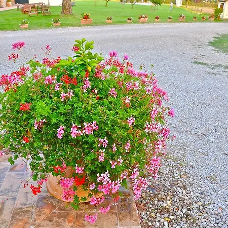 农家乐 Morami Wine *