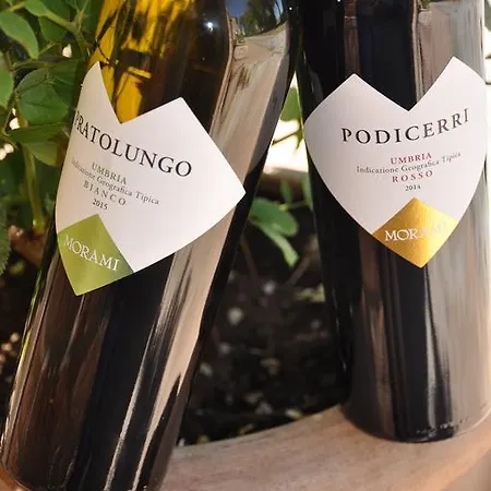 Farm stay Morami Wine Panicarola
