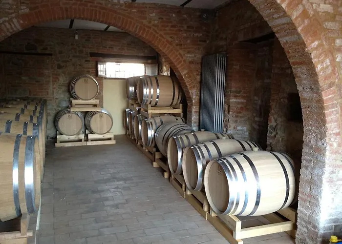 Morami Wine * Panicarola