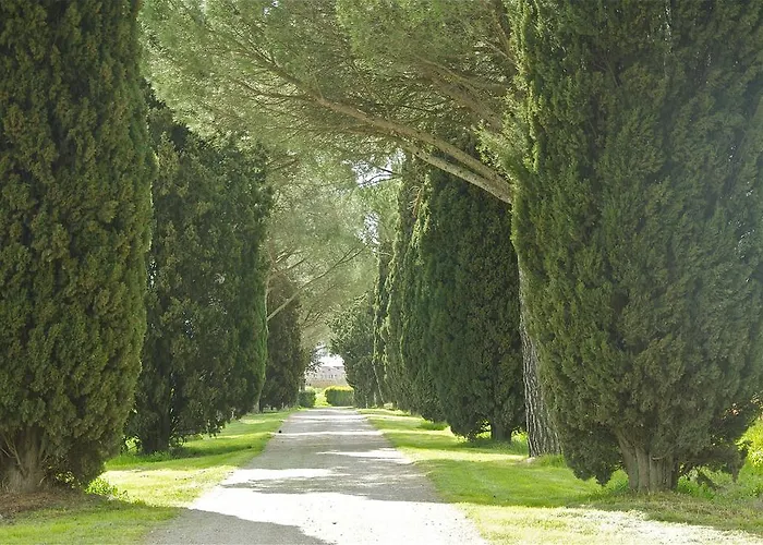 Vakantieboerderij Morami Wine