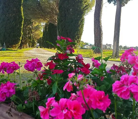 Vakantieboerderij Morami Wine *