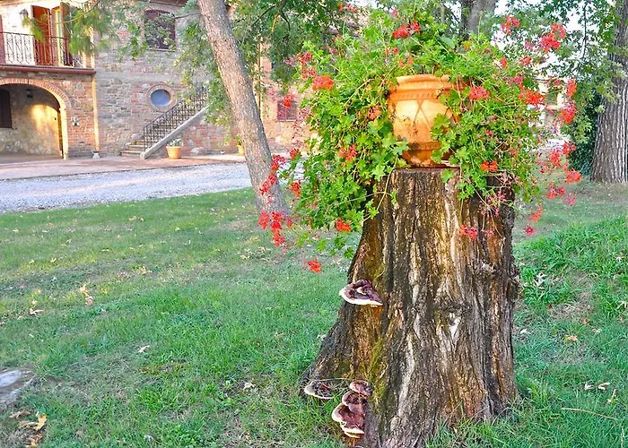 Farm stay Morami Wine *