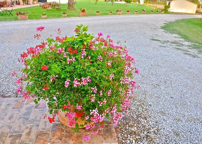 Vakantieboerderij Morami Wine *