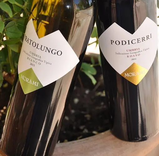 Farm stay Morami Wine Panicarola